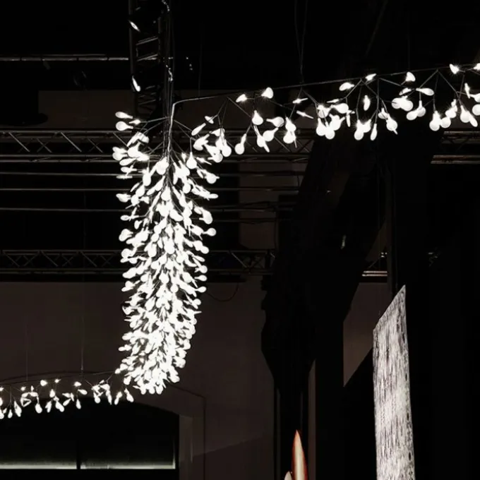 Heracleum III Endless
