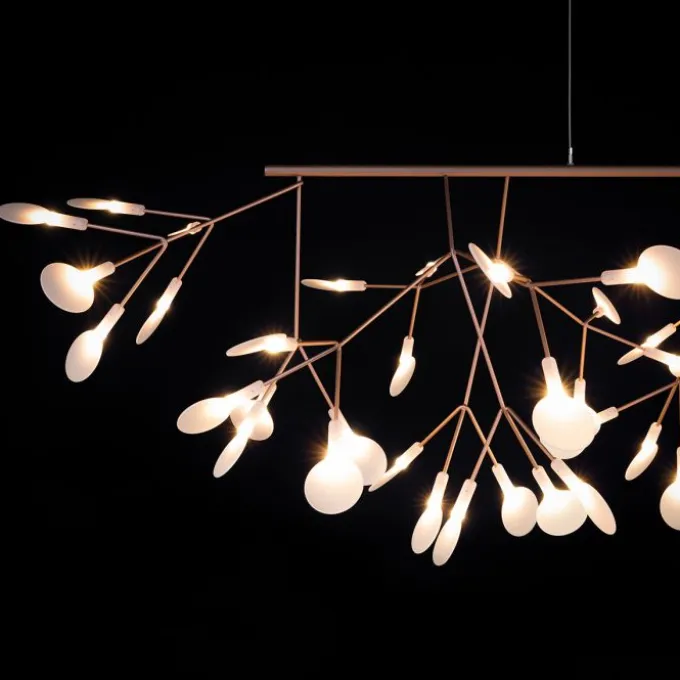Heracleum III Linear