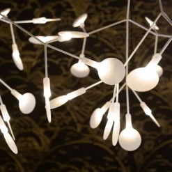 Heracleum III Linear