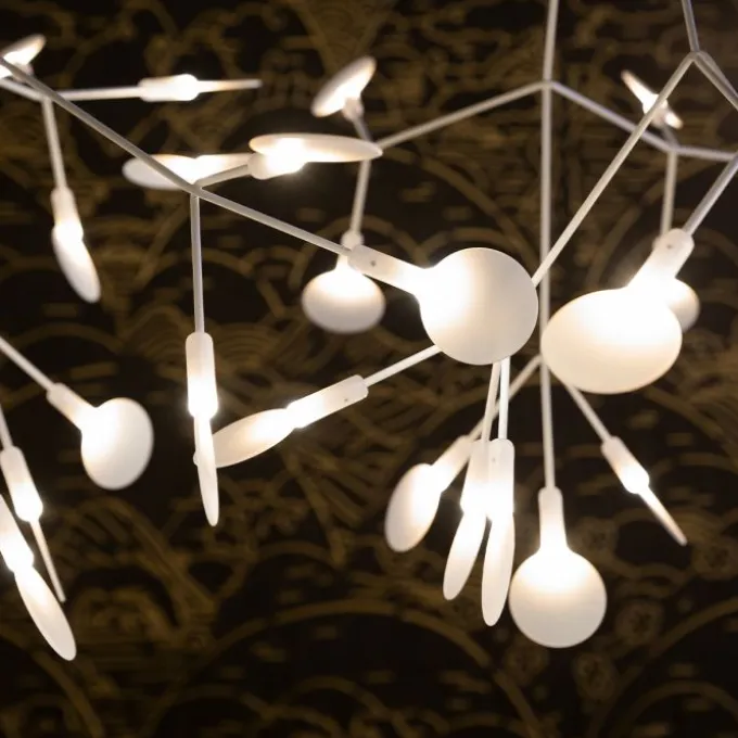 Heracleum III Linear