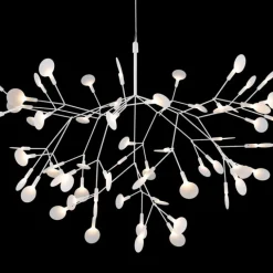 Heracleum III Suspended