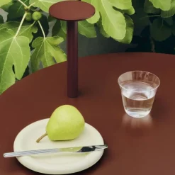 Host - Lampe portable
