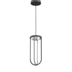 In vitro suspension