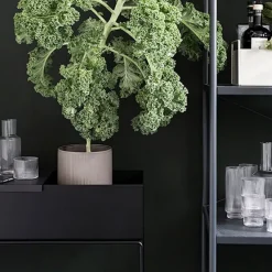 Jardinière Plant Box