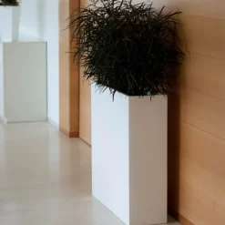 Jardinière Vela Wall