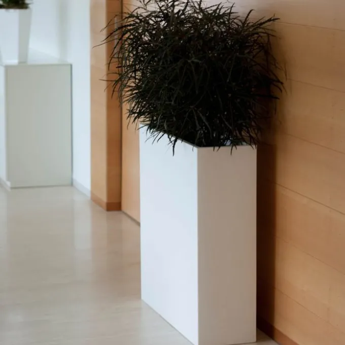 Jardinière Vela Wall