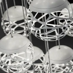 Kelly Cluster