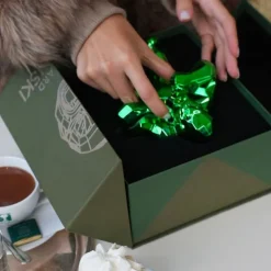 Kong Christmas (Green Edition)