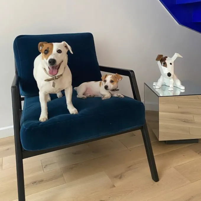 Lady Dog