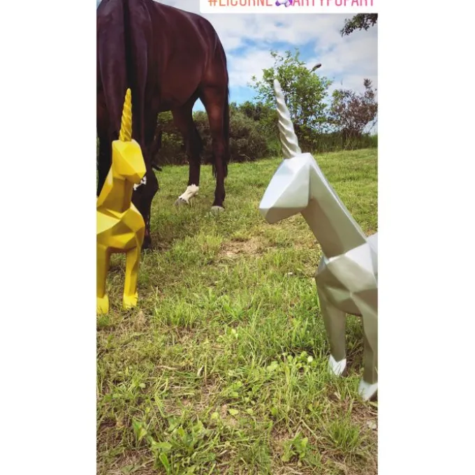 Licorne - Medium