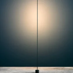 Light Stick F