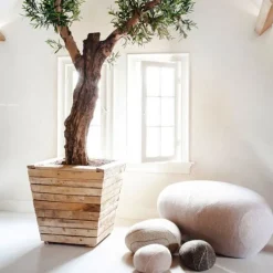 Livingstones Gilda