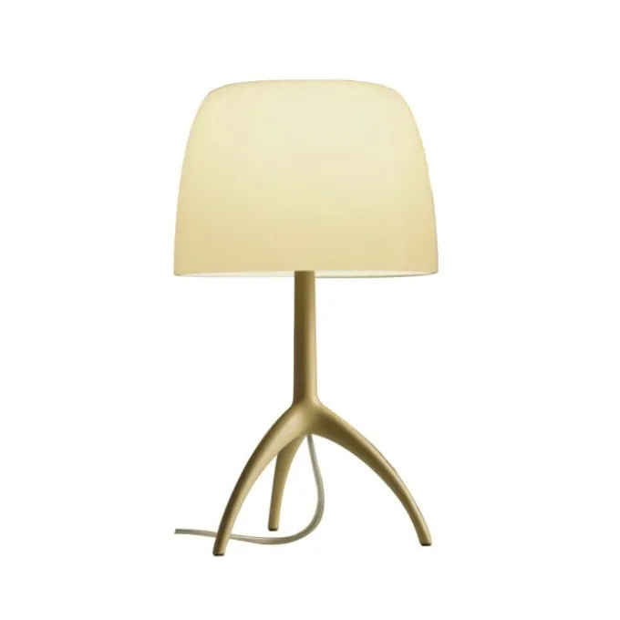 Lumiere Nuances