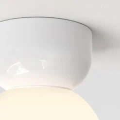 Lyra Ceiling