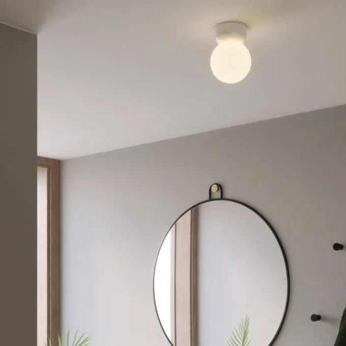 Lyra Ceiling