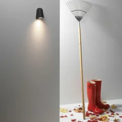 Mast Light