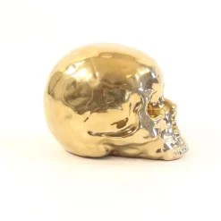 Memorabilia Gold My Skull