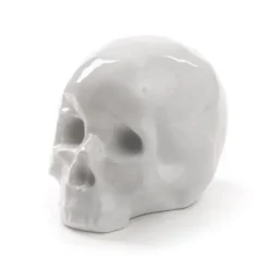 Memorabilia My skull