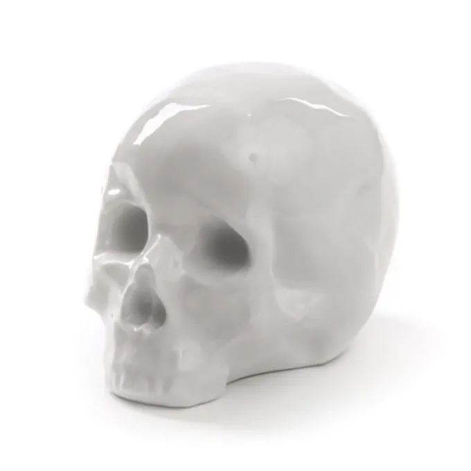 Memorabilia My skull