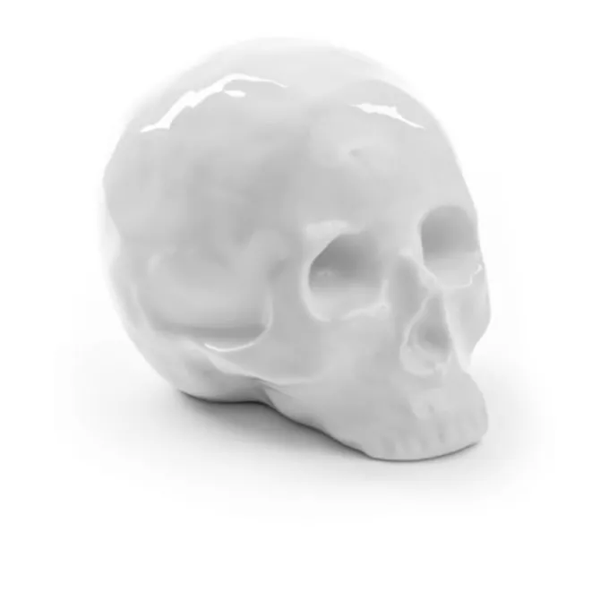 Memorabilia My skull