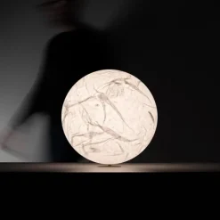 Moon T