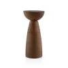 Moulin à épices Oaxaca