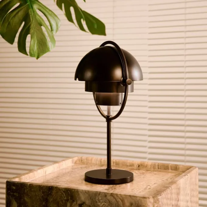 Multi-lite Portable Lamp
