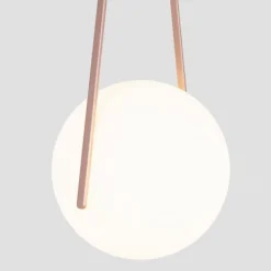 NomNom Light