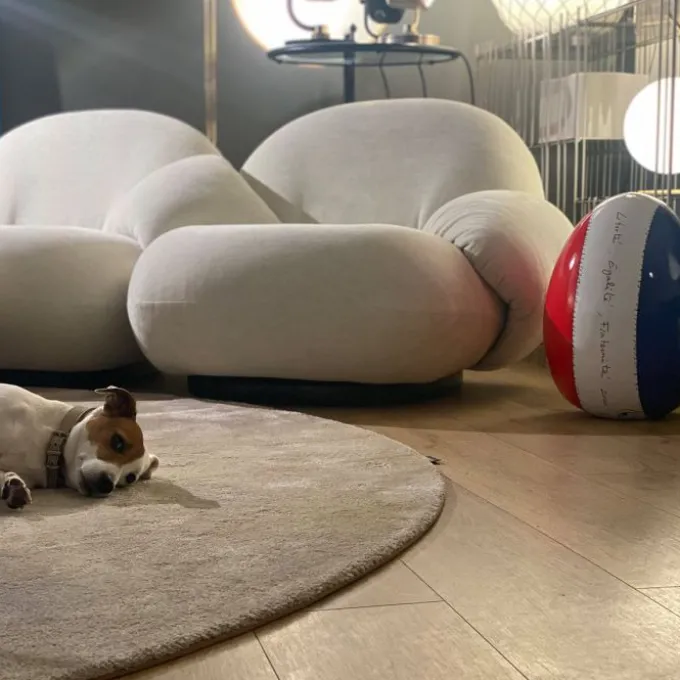 Oeuf France