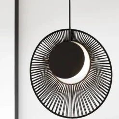 Oyster suspension