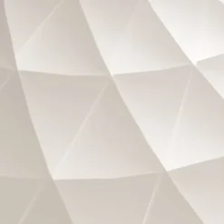 Patera oval