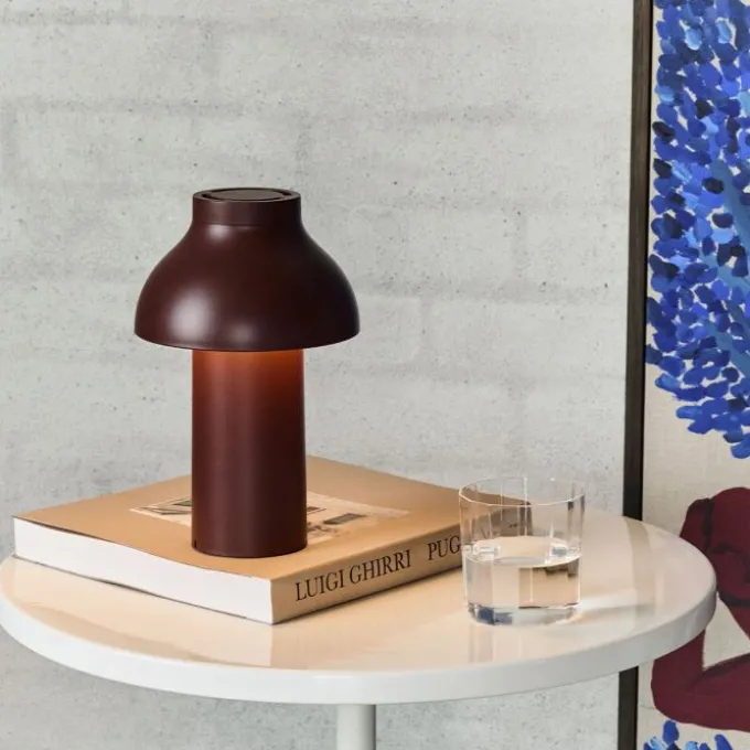 PC Portable lamp