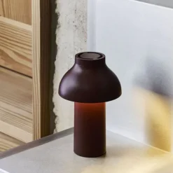 PC Portable lamp