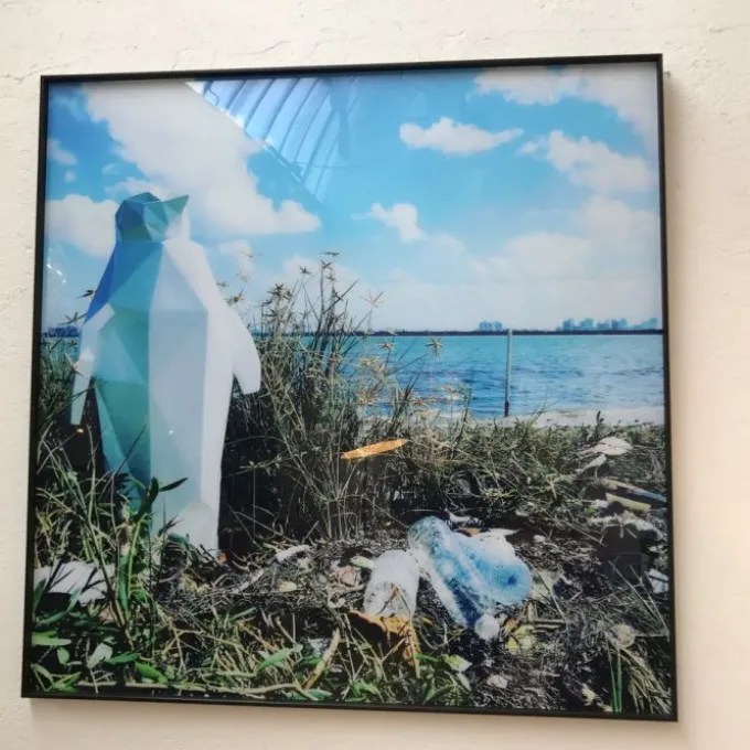 Penguin Miami Trash 140 x 140 cm