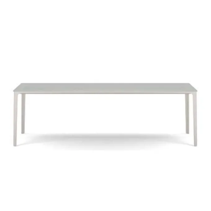 Plate Dining Table