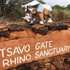 Rhinocéros Impy L