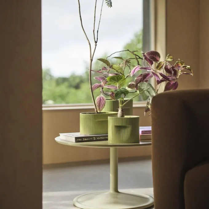 Ridge planter
