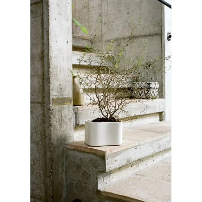 Riihitie vase