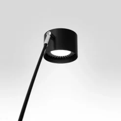 Sampei - Lampadaire