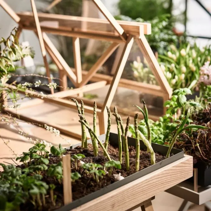 Serre Greenhouse