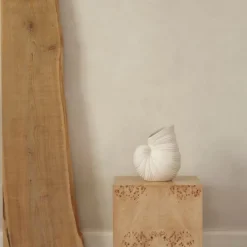 Shell Vase