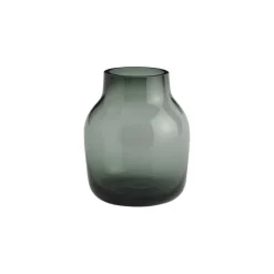 Silent Vase