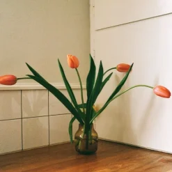 Silent Vase