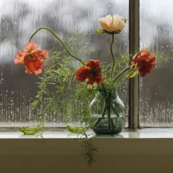 Silent Vase