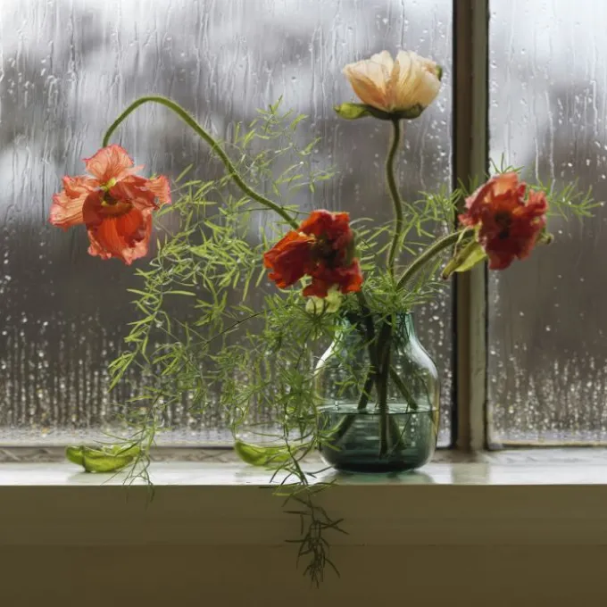 Silent Vase