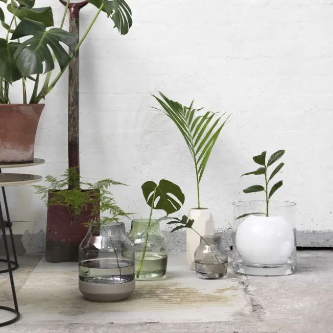 Silent Vase