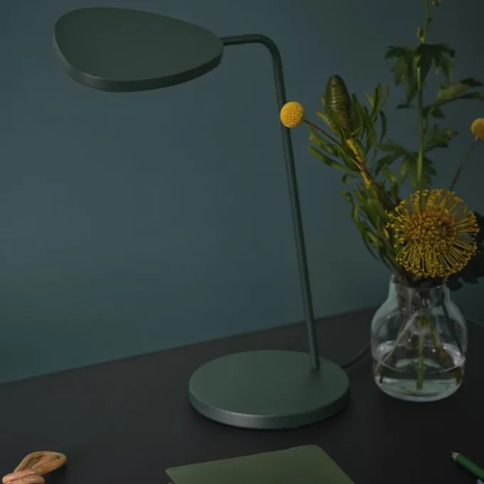 Silent Vase