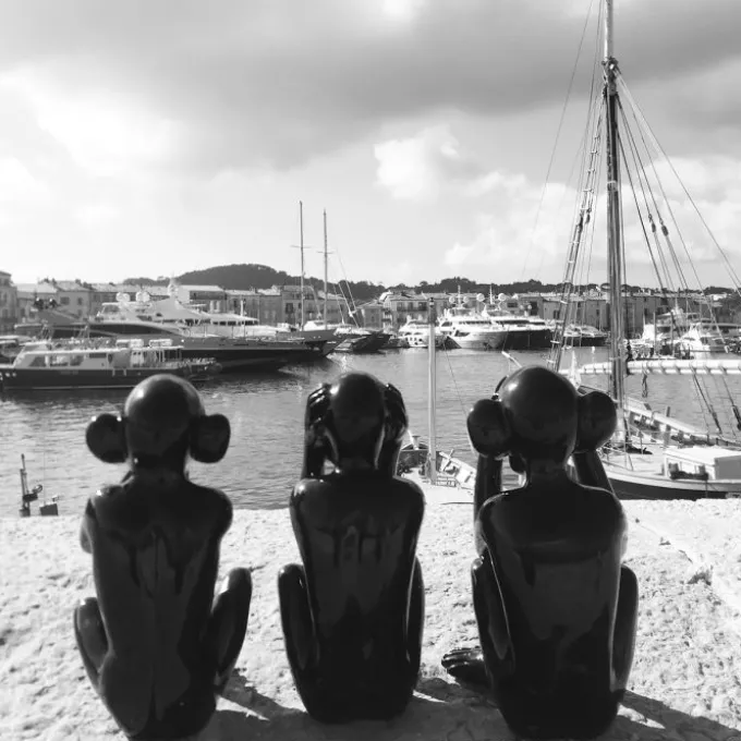 Singe "Ne voit pas"