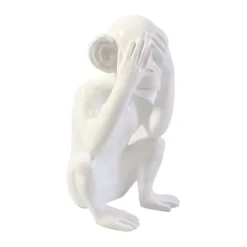 Singe "Ne voit pas"