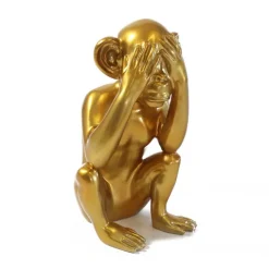 Singe "Ne voit pas"